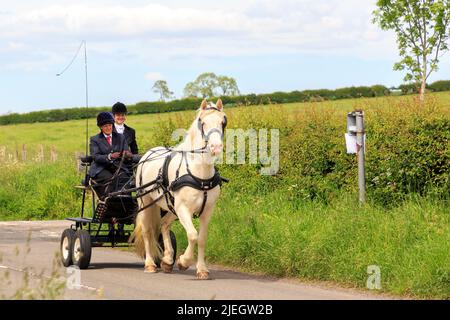 Glencarple, Écosse - 5 juin 2022 : poney de Cremello tirant une voiture de marathon à 4 roues avec le chauffeur de Dame et le passager de dame debout à l'arrière Banque D'Images