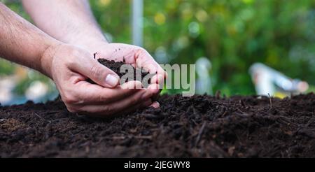 Sol dans les paumes mâles. Main de fermier tenant bon sol vue rapprochée. Travaux d'agriculture de jardin, concept de protection de la nature, espace de copie de bannière. Banque D'Images