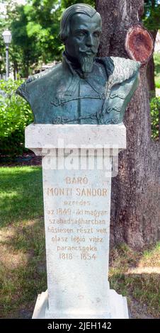 Buste du baron Alessandro Monti Sandor par Kuzmik Livia dans le domaine du Musée national hongrois Budapest, Hongrie Sandor Monti, partisan de Hun Banque D'Images