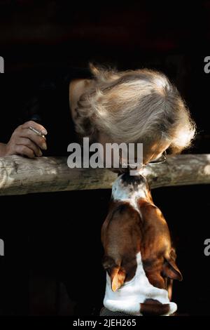 Portrait d'une femme âgée embrassant le chien terrier américain Staffordshire en gros plan sur fond naturel. Lumière du coucher du soleil sur le visage de l'aîné. Photo de haute qualité Banque D'Images