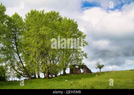 Campagne écossaise en été. Dumfries et Galloway, Écosse Banque D'Images