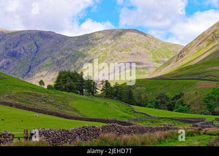 La vue de Wasdale Head vers Pillar Mountain et Mosedale Valley sur un jour ensoleillé d'été Lake District Cumbria Angleterre Banque D'Images