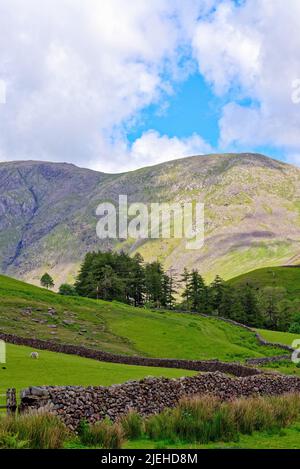 La vue de Wasdale Head vers Pillar Mountain et Mosedale Valley sur un jour ensoleillé d'été Lake District Cumbria Angleterre Banque D'Images