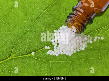 Globuli zur Behandlung von Frauenspezifische dans der sanften, alternativen Medizin. Tabletten und Medikamente. Banque D'Images