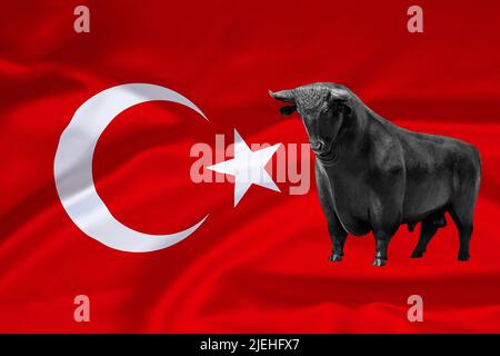 Börse, Aktien, Aktienkurse, Bullenmarkt, Steigende Kurse, Bulle vor Türkei-Flagge, Dow Jones Index, Wall Street, Bullenmarkt in der Türkei, starke Bör Banque D'Images