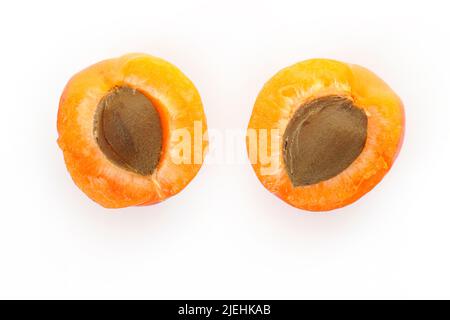 Aprikosen, Aprikose, Frucht, Früchte, Aprikosenstein, Aprikosenkern, Marille, Marillen, (Prunus armeniaca), Steinobstgewächs, Aufgeschntene, Kernobs Banque D'Images