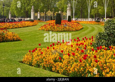 Parterres de fleurs de tulipes et autres fleurs devant les portes de Buckingham Palace vers Green Park en arrière-plan. Personnes méconnaissables. Banque D'Images