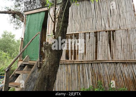 Toilettes construites dans la cabane de bambou dans une terre de permaculture en Andalousie Espagne Banque D'Images