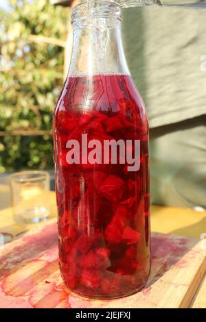 Bouteille de betteraves fermentées. Recette saine tout en faisant un cours de permaculture Banque D'Images