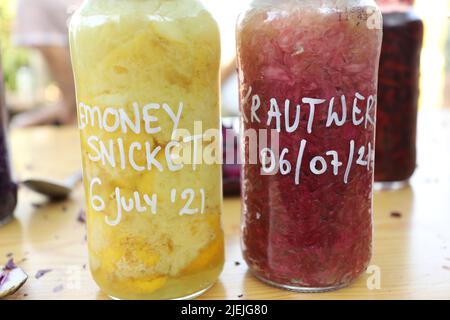 Chou rouge pour une recette fermentée saine Banque D'Images