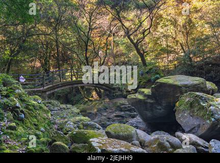 kyushu, japon - décembre 10 2021 : le pont Todoroki d'Isahaya entouré de végétation luxuriante et de rochers le long de la rivière Sakai de Taradake Préfecture N Banque D'Images