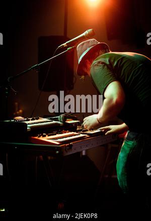 Funke et The Two Tone Baby, Leigh Folk Festival, Leigh Community Centre, Essex © Clarissa Debenham / Alay Banque D'Images