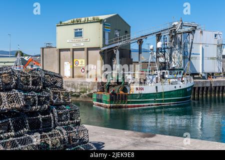Pêche Trawler amarré à Kilkeel Harbour, County Down, Irlande du Nord, Royaume-Uni. Banque D'Images