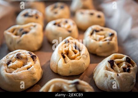 Pâte de levure brute non cuite pour petits pains à la cannelle tourbillonnant sur du papier parchemin pour lever et cuire des copeaux de chocolat Banque D'Images