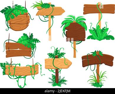 Éléments de dessin animé de jungle. Plantes exotiques tropicales et panneau de bois. Pointeur de jeu de forêt, panneau décoratif avec liana. Jeu isolé et soigné Illustration de Vecteur