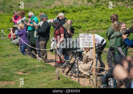 Panneau pour que les visiteurs utilisent le télescope tenu par des bénévoles à la Wick sur l'île Skomer Banque D'Images