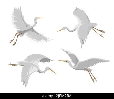 Oiseaux de héron volants Illustration de Vecteur