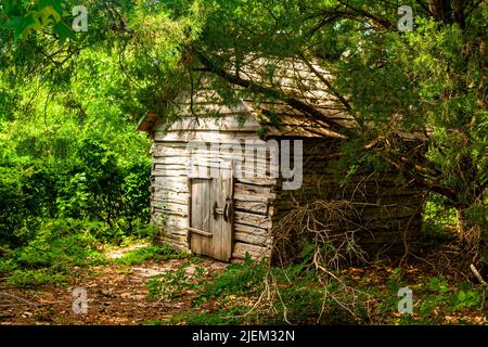 Un hangar abandonné dans les bois Banque D'Images