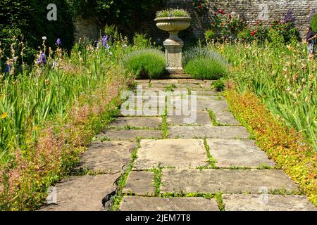 Fleurs sauvages dans les jardins de Nunnington Hall, une demeure ancestrale du National Trust dans le Yorkshire Banque D'Images