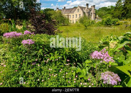 Fleurs sauvages dans les jardins de Nunnington Hall, une demeure ancestrale du National Trust dans le Yorkshire Banque D'Images