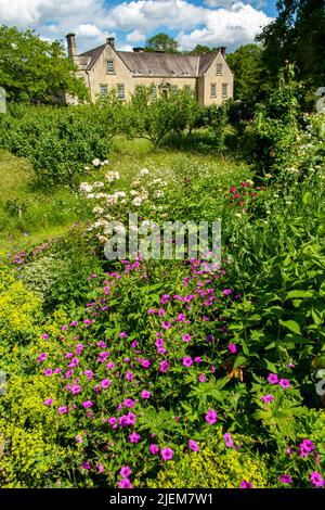 Fleurs sauvages dans les jardins de Nunnington Hall, une demeure ancestrale du National Trust dans le Yorkshire Banque D'Images