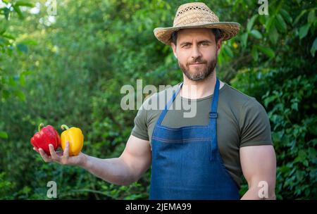 homme greengrocer dans un chapeau de paille au poivron Banque D'Images