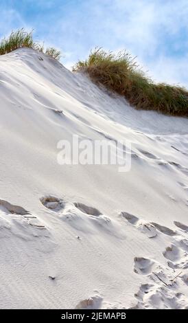 Paysage de plages de dunes de sable sur la côte ouest vide de Jutland à Loekken, Danemark. Ciel bleu avec copyspace, touffes d'herbe verte luxuriante poussant sur un Banque D'Images