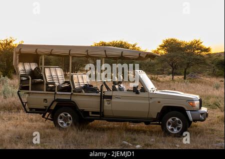 Safari au coucher du soleil en Namibie Afrique Banque D'Images