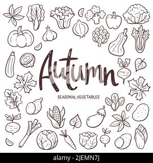 Fond de légumes de saison. Composition de légumes d'automne dessinés à la main, composée d'icônes vectorielles Doodle, isolées sur fond blanc. Illustration de Vecteur