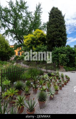 Padoue, Italie - 06 10 2022: Jardin botanique de l'Université de Padoue à Padoue, un jour d'été. Banque D'Images