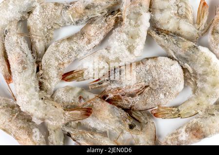 Crevettes tigrées grises congelées ou crevettes crues avec glace sur fond blanc Banque D'Images