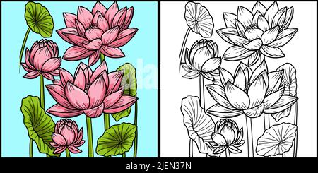 Lotus Flower coloriage page Illustration colorée Illustration de Vecteur