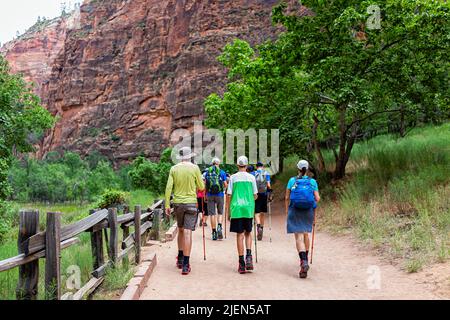 Springdale, États-Unis - 6 août 2019: Parc national de Zion, sentier de promenade en bord de rivière Narrows dans l'Utah avec des gens qui marchent sur le sentier populaire au bord du canyon rouge Banque D'Images