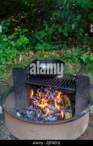 Ruddy Tatapatate savoureuse friture dans le chou-fleur dans l'huile sur la nature au feu, vue rapprochée. Banque D'Images