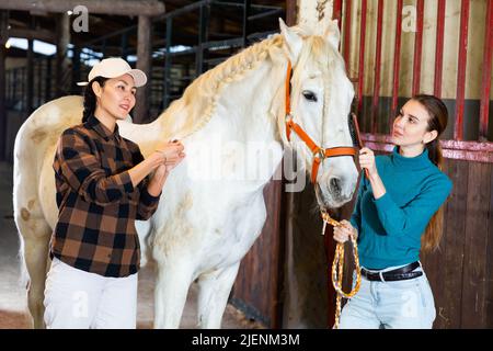 Deux travailleuses de cheval de brossage stable et de manie de tressage Banque D'Images