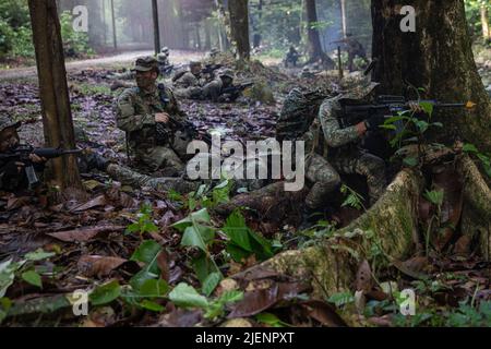 Des soldats de l'armée américaine du 3rd Escadron, du 4th Cavalry Regiment, de l'équipe de combat de la brigade d'infanterie 3rd, de la 25th Infantry Division et des forces armées malaisiennes mènent une attaque quelque part dans la jungle pendant la grève de Keris 22, en Malaisie, au 16 juin 2022. La grève de Keris est un exercice militaire bilatéral d'une armée à l'autre entre l'armée malaisienne et l'armée américaine du Pacifique qui augmente les opérations d'interopérabilité qui rassurent les engagements de sécurité partagés dans la région Indo-Pacifique. (É.-U. Photo de l'armée par PFC. Wyatt Moore / Détachement des affaires publiques 28th) Banque D'Images