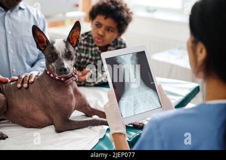 Médecin méconnaissable debout devant le chien et ses propriétaires tenant une tablette numérique avec une image radiologique à l'écran Banque D'Images