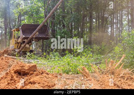 Utilisation de chargeurs compacts rigides de tracteur pour dégager les terres des arbres afin de développer un carter Banque D'Images