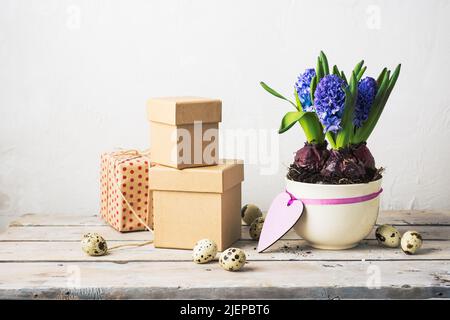 Boîtes en carton, jacinthes bleues en pot sur une table en bois. Banque D'Images