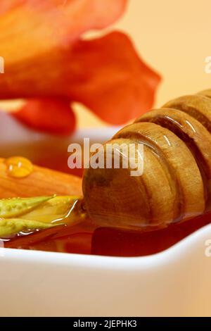 Miel biologique à partir d'une cuillère en bois sur l'assiette Banque D'Images