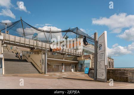 Living Coass aquarium and Aviary, Torquay, Torbay, Angleterre, Royaume-Uni Banque D'Images