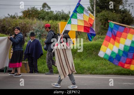 Enfant portant le drapeau des peuples autochtones 'whipala'. Ipiales, Nariño. Banque D'Images