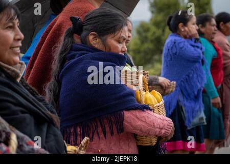 Pasto femme indigène transportant des fruits indigènes de la région, Ipiales, Nariño. Banque D'Images