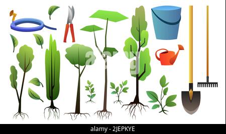 Ensemble de semis de jeunes arbres avec racines et outils de jardin. Ensemble de plantes de jardin. Plantations de fruits. Isolé sur fond blanc. Vecteur. Illustration de Vecteur