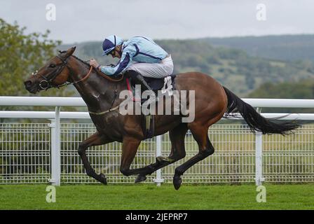 Photo du dossier datée du 23-09-2020 de Hortzadar, qui devrait bénéficier de la baisse en classe dans le 2,45 à Hamilton - 1pt chaque aller. Date de publication : mardi 28 juin 2022. Banque D'Images