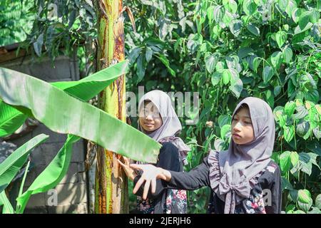 De jolies filles musulmanes asiatiques portant le hijab dans le jardin Banque D'Images