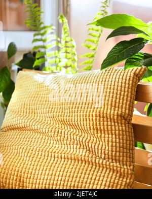 Décoration intérieure avec coussin jaune et plantes en pot à la lumière du soleil Banque D'Images