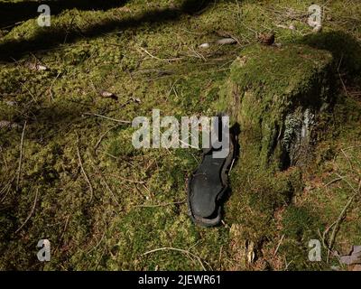 Une semelle de chaussure usée, laissée dans les bois. Banque D'Images