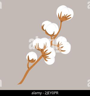 Branche délicate tirée à la main d'une fleur de coton, illustration vectorielle Illustration de Vecteur