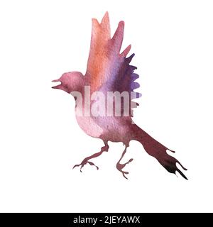 Couleur bordeaux silhouette d'oiseau aquarelle illustration fond blanc. Contour d'oiseau brillant, taches d'aquarelle peintes à la main. Design pour accueillir c Banque D'Images